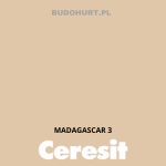 Tynk silikonowy CT74  MADAGASCAR 3 gr.A 1,5mm 25kg