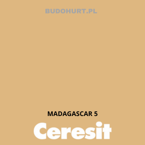 CT48 Farba silikonowa  MADAGASCAR 5 gr.A 15l