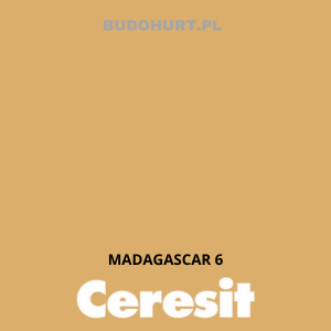 CT42 farba akrylowa MADAGASCAR 6 gr.A/15L