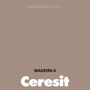 CT42 farba akrylowa  MADEIRA 6 gr.A/15L