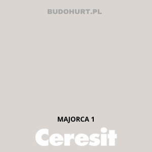 CT49 farba nanosilikonowa MAJORCA 1 gr.A/15L