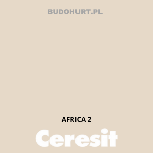 Kolor tynku AFRICA 2