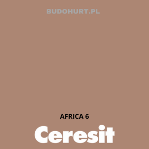 CT48 farba silikonowa  AFRICA 6 gr.B 15L