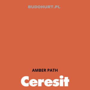 CT49 farba nanosilikonowa  Amber Path 15L