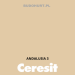 Tynk silikonowy CT74   ANDALUSIA 3 gr.A 1,5mm 25kg