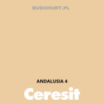 Tynk silikonowy CT74   ANDALUSIA 4 gr.A 1,5mm 25kg