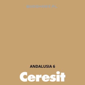 CT48 farba silikonowa  ANDALUSIA 6 gr.B 15L