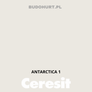 CT48 Farba silikonowa  ANTARCTICA 1 gr.A 15l