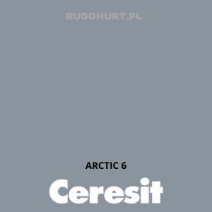 CT48 farba silikonowa ARCTIC 6 gr.D 15L