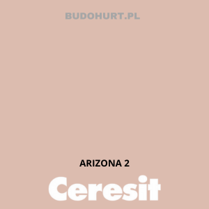 CT49 farba nanosilikonowa  ARIZONA 2 gr.A/15L