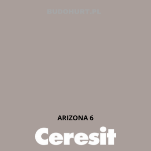 CT42 farba akrylowa  ARIZONA 6 gr.A/15L