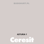 Tynk silikonowy CT74  ASTURIA 1 gr.A 1,5mm 25kg