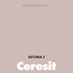 CT54 farba silikatowa ASTURIA 2 gr.A 15L