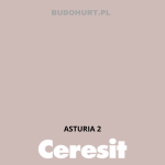 Tynk silikonowy CT74  ASTURIA 2 gr.A 1,5mm 25kg