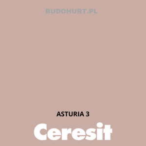 CT49 farba nanosilikonowa ASTURIA 3 gr.A/15L