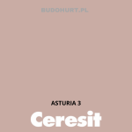 Tynk silikonowy CT74  ASTURIA 3 gr.A 1,5mm 25kg