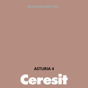 CT48 Farba silikonowa  ASTURIA 4 gr.B 15l