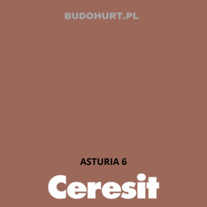 CT42 farba akrylowa ASTURIA 6 gr.A/15L