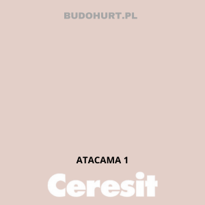 Kolor tynku ATACAMA 1