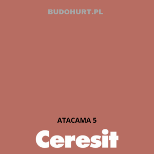 CT42 farba akrylowa ATACAMA 5 gr.A/15L