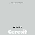 Tynk silikonowy CT74   ATLANTIC 2 gr.A 1,5mm 25kg