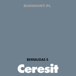 CT48 farba silikonowa BERMUDAS 5 gr.B 15L