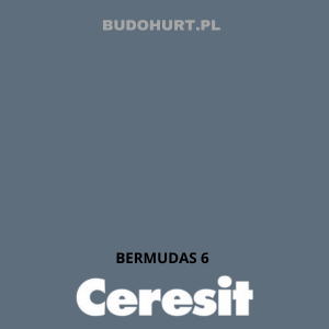 CT48 farba silikonowa BERMUDAS 6 gr.C 15L