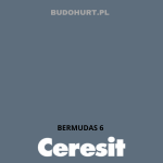 Tynk silikonowy CT74  BERMUDAS 6 gr.B 1,5mm 25kg