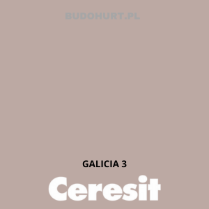 CT48 Farba silikonowa  GALICIA 3 gr.A 15l