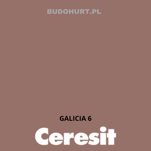 CT42 farba akrylowa GALICIA 6 gr.A/15L