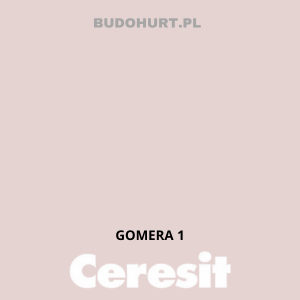 CT49 farba nanosilikonowa GOMERA 1 gr.A/15L