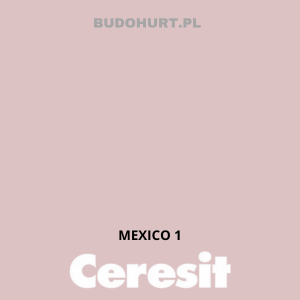 CT42 farba akrylowa MEXICO 1 gr.A/15L