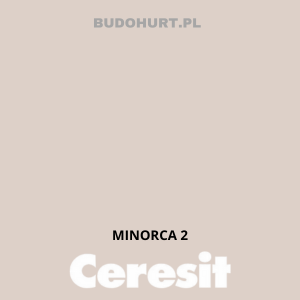 CT42 farba akrylowa MINORCA 2 gr.A/15L