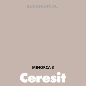 CT42 farba akrylowa MINORCA 3 gr.A/15L