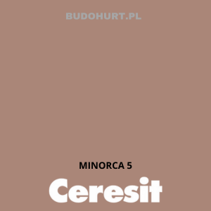 CT42 farba akrylowa MINORCA 5 gr.A/15L