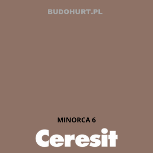 CT42 farba akrylowa MINORCA 6 gr.A/15L