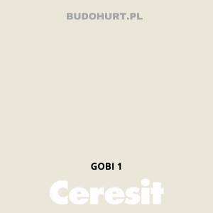 Kolor tynku GOBI 1