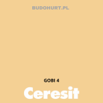 Tynk silikonowy CT74   GOBI 4 gr.B 1,5mm 25kg