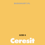 Tynk silikonowy CT74   GOBI 6 gr.G 1,5mm 25kg