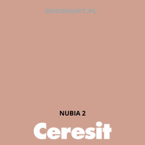 Tynk akrylowy CT60  NUBIA 2 gr.A 1,5mm 25kg