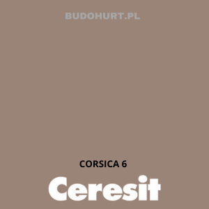 CT48 Farba silikonowa  CORSICA 6  gr.C 15l