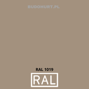 CT74 tynk silikonowy RAL1019   1,5 mm 25kg