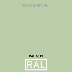 CT74 tynk silikonowy RAL6019   1,5 mm 25kg