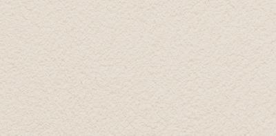 FZ371 Farba elewacyjna akrylowa kolor  AL13   opakowanie 25kg