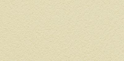 TD325 Tynk silikonowy 1,5mm kolor  BU21  opakowanie 30kg