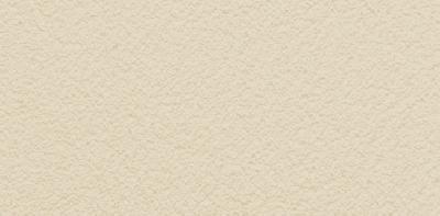 TD325 Tynk silikonowy 1,5mm kolor  AG21  opakowanie 30kg