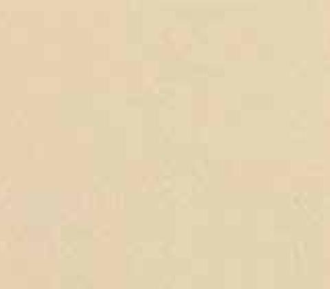 VISAGE tynk ozdobny CT60 0,5m DOMINICANA BEIGE 25k