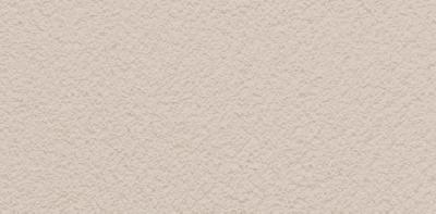 TD325 Tynk silikonowy 1,5mm kolor  AM21  opakowanie 30kg