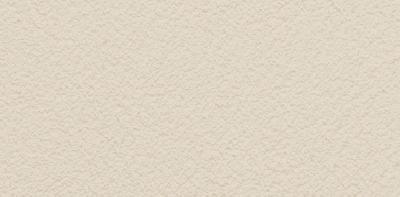 FZ371 Farba elewacyjna akrylowa kolor  AG31   opakowanie 25kg